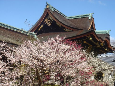 Shrine Visit